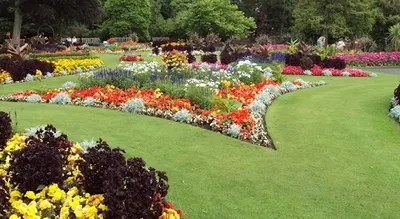 Ogrody Zakładanie Projektowanie Ogrodów Piła ZIELONI Nawadnianie Ogrodu Trawa z Rolki Ogrodnik